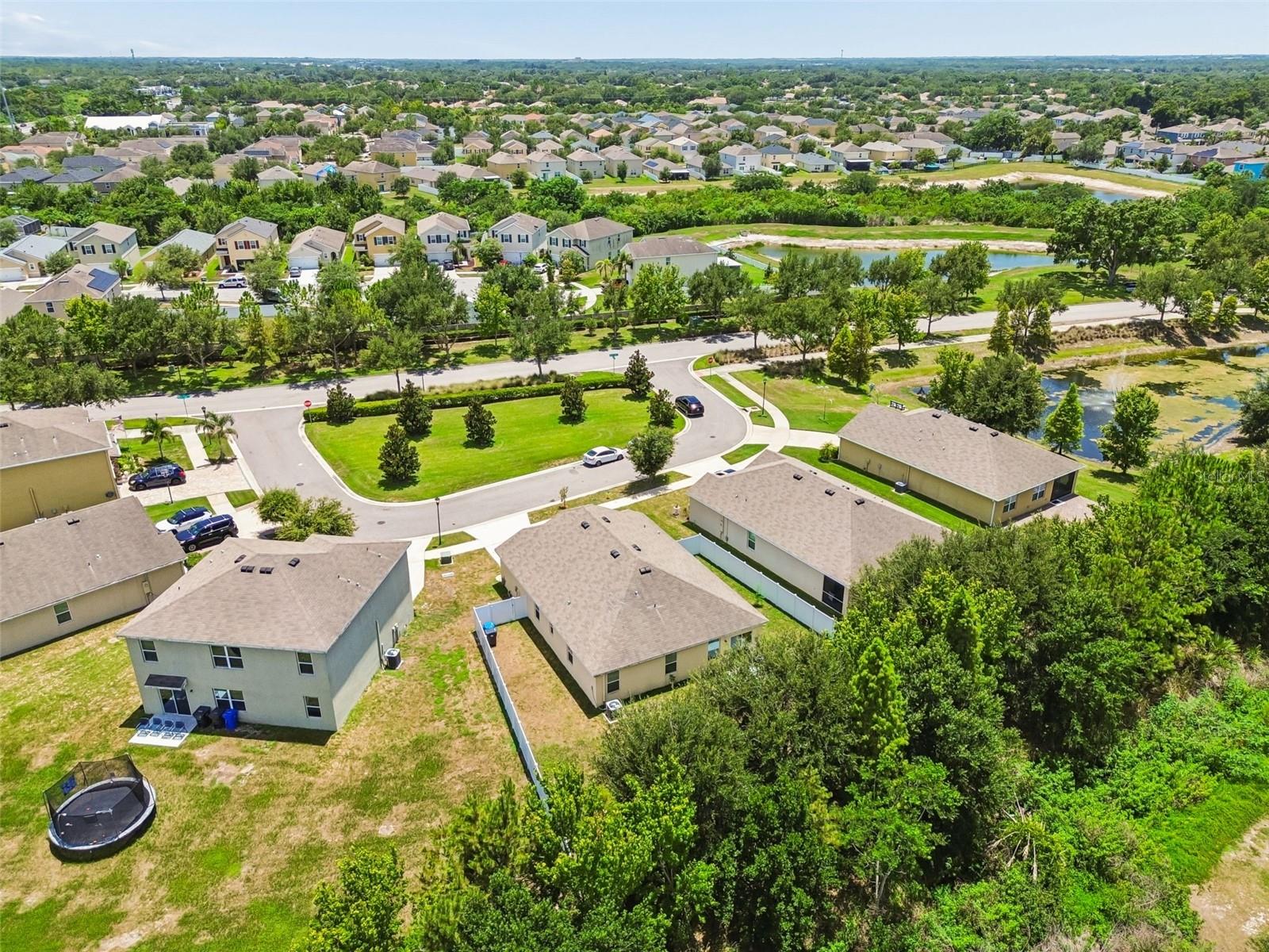 11910 LITTLE VIOLET CIR, RIVERVIEW, FL — photo 47