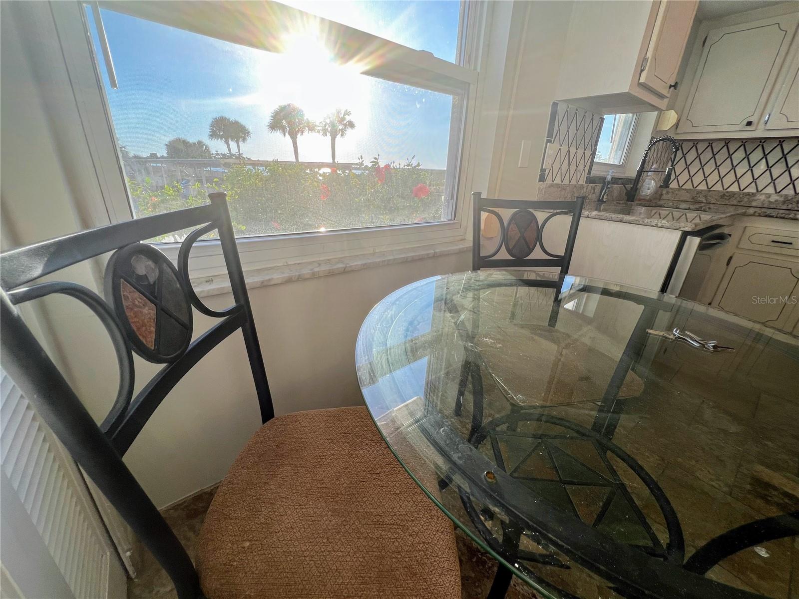 9 HAIG PL #101, DUNEDIN, FL — photo 9