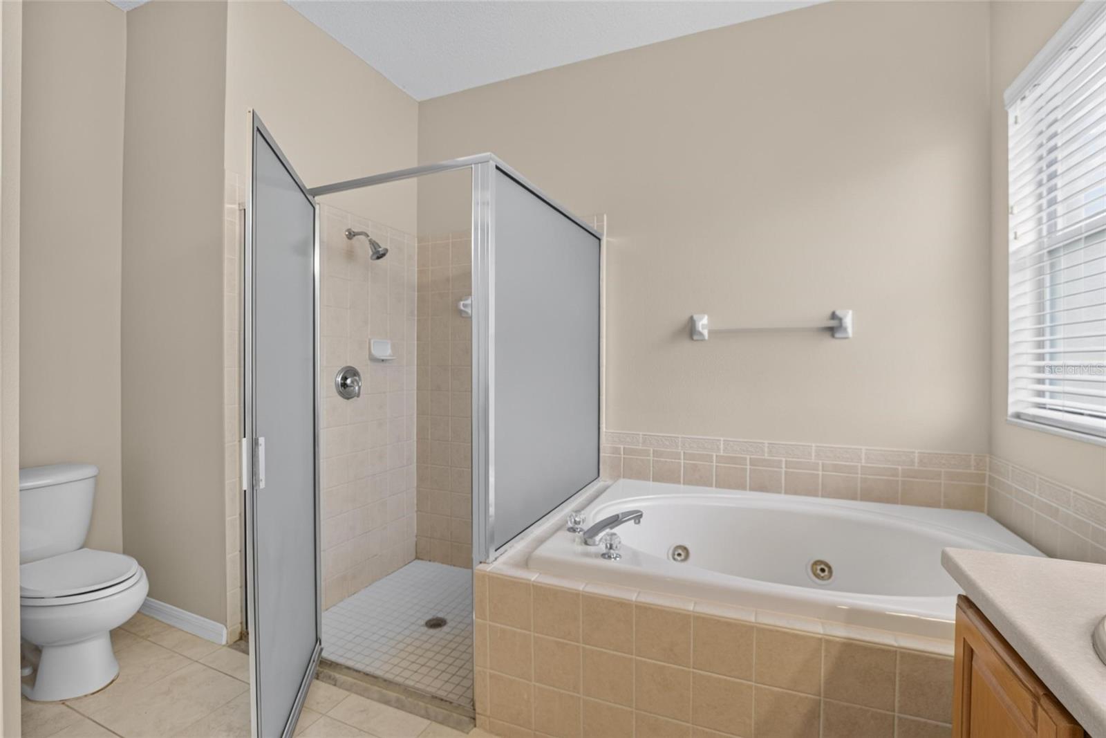 11339 VILLAGE BROOK DR, RIVERVIEW, FL — photo 43