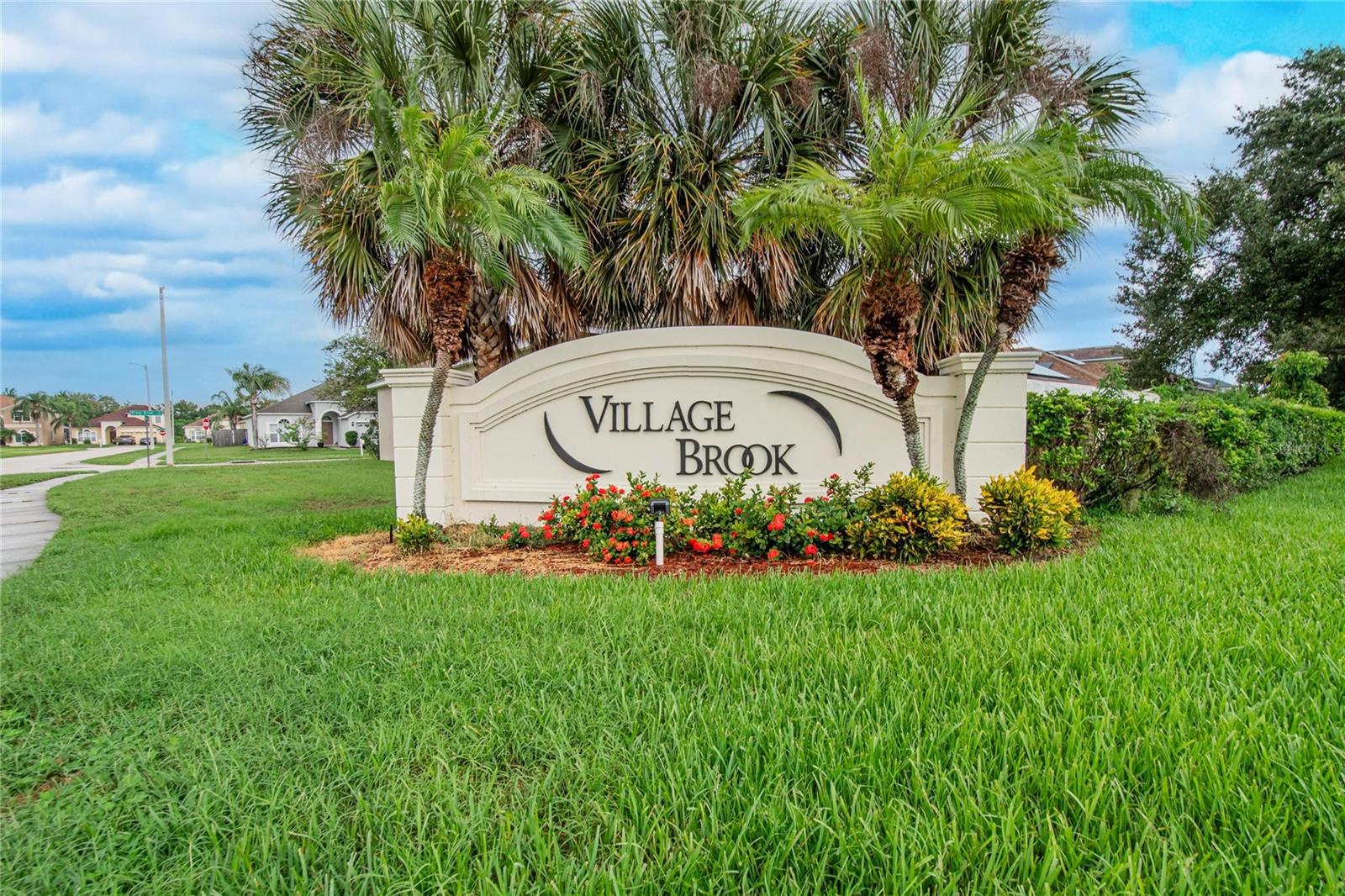 11339 VILLAGE BROOK DR, RIVERVIEW, FL — photo 57