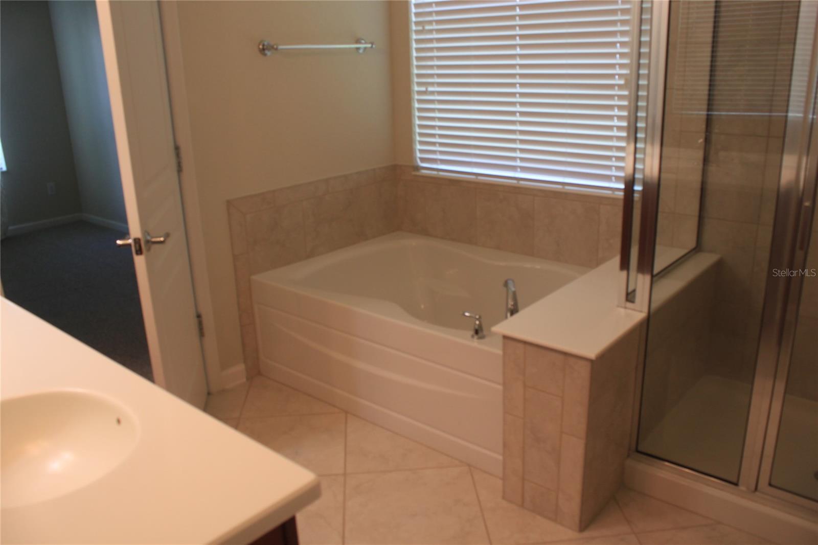 7730 BROFIELD AVE, WINDERMERE, FL — photo 11