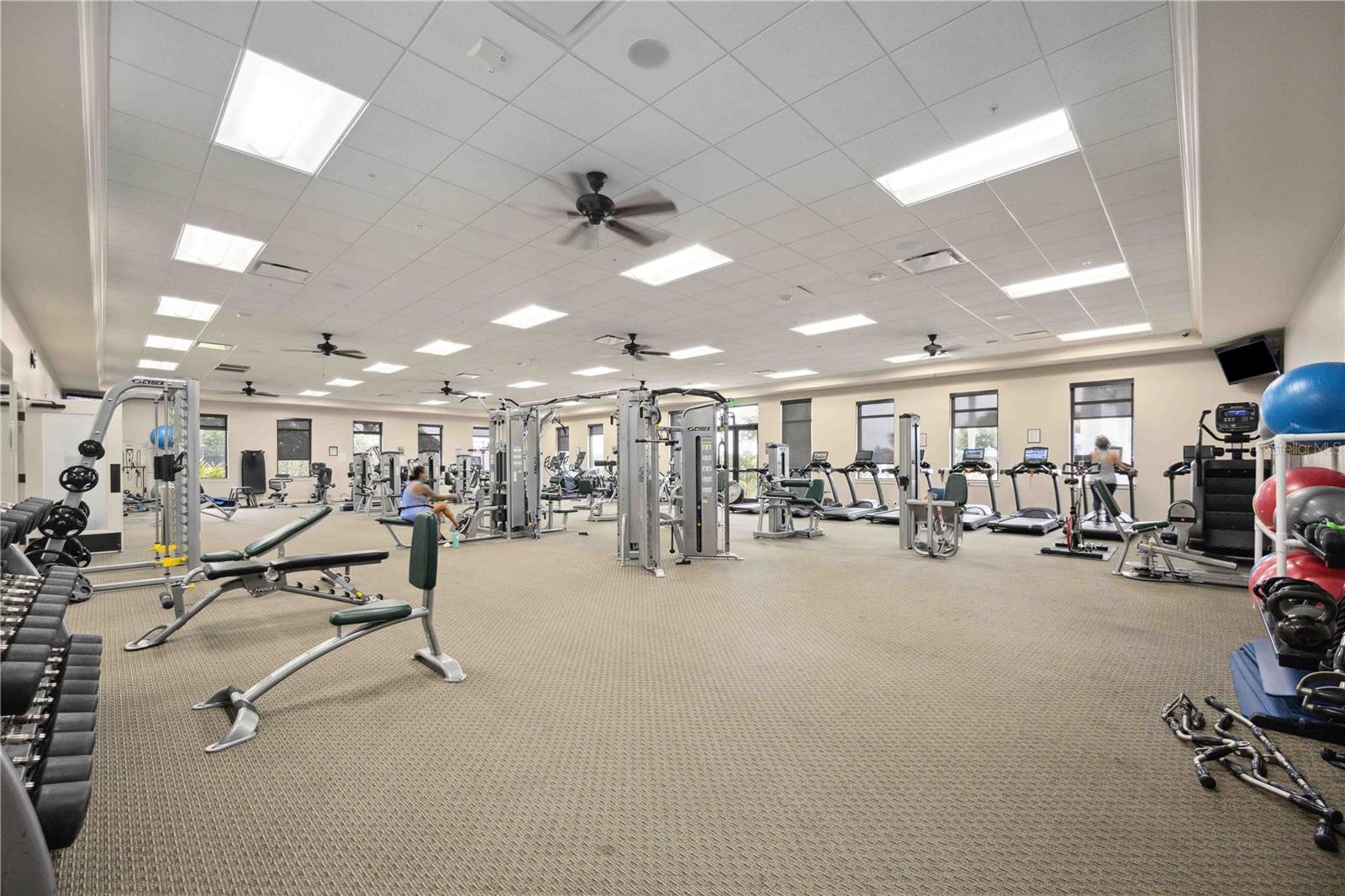 24100 SPARTINA DR, VENICE, FL — photo 81