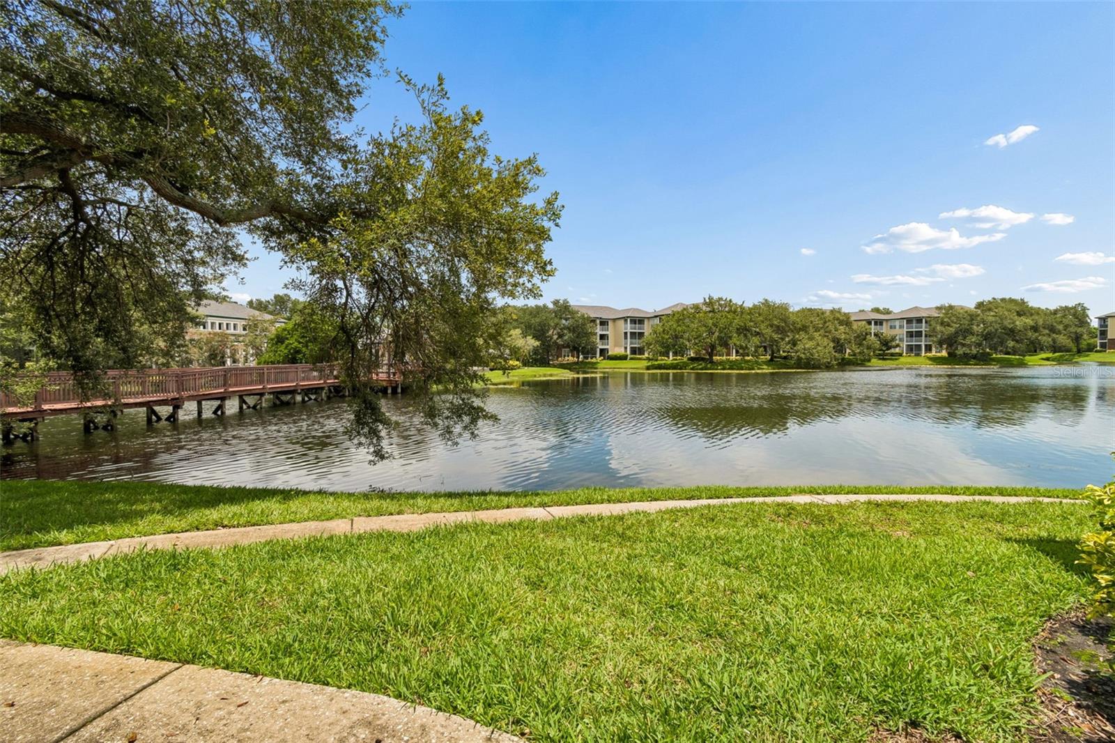 4115 CHATHAM OAK CT #201, TAMPA, FL — photo 51