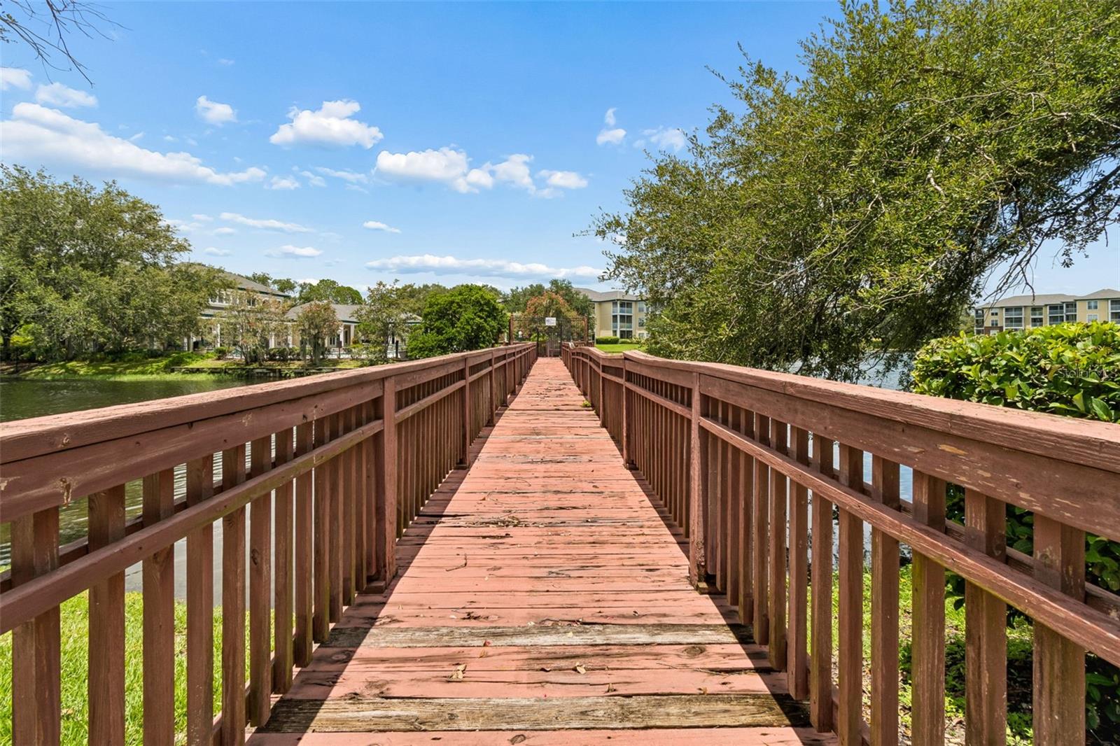 4115 CHATHAM OAK CT #201, TAMPA, FL — photo 53