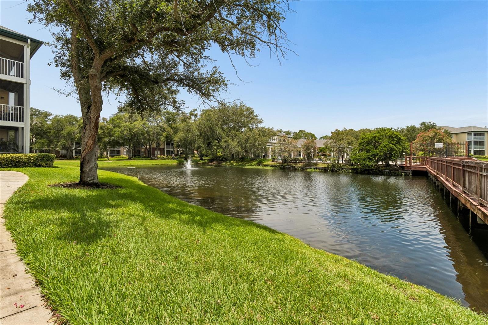 4115 CHATHAM OAK CT #201, TAMPA, FL — photo 54