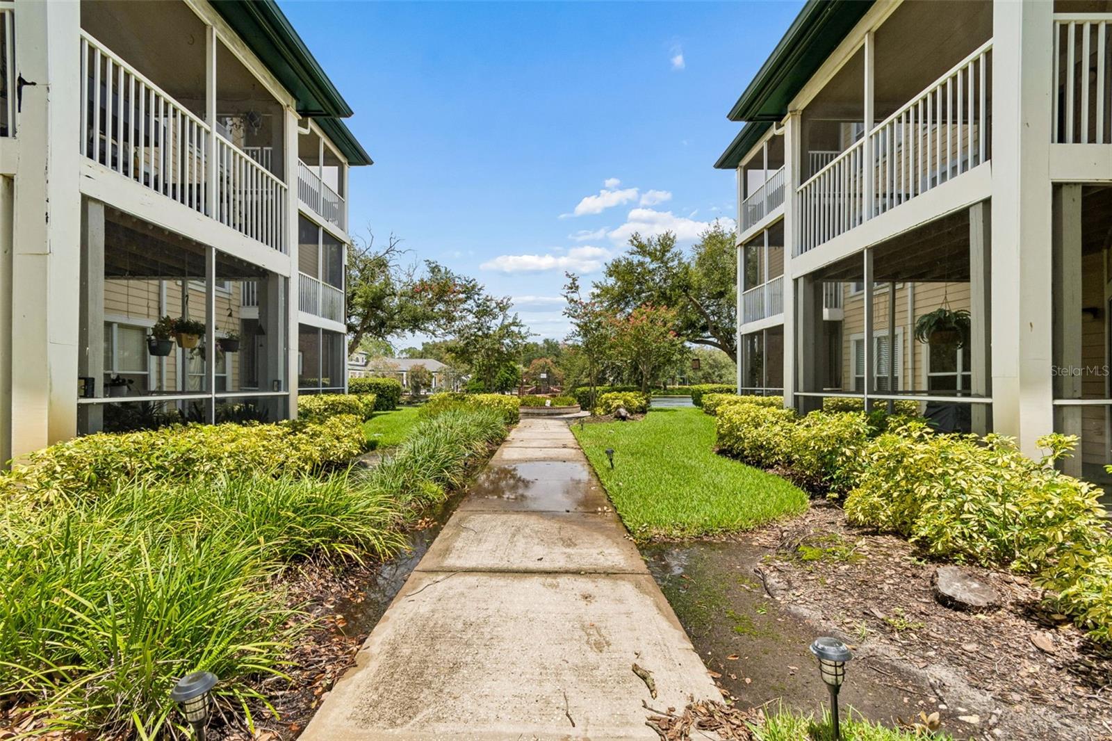 4115 CHATHAM OAK CT #201, TAMPA, FL — photo 55