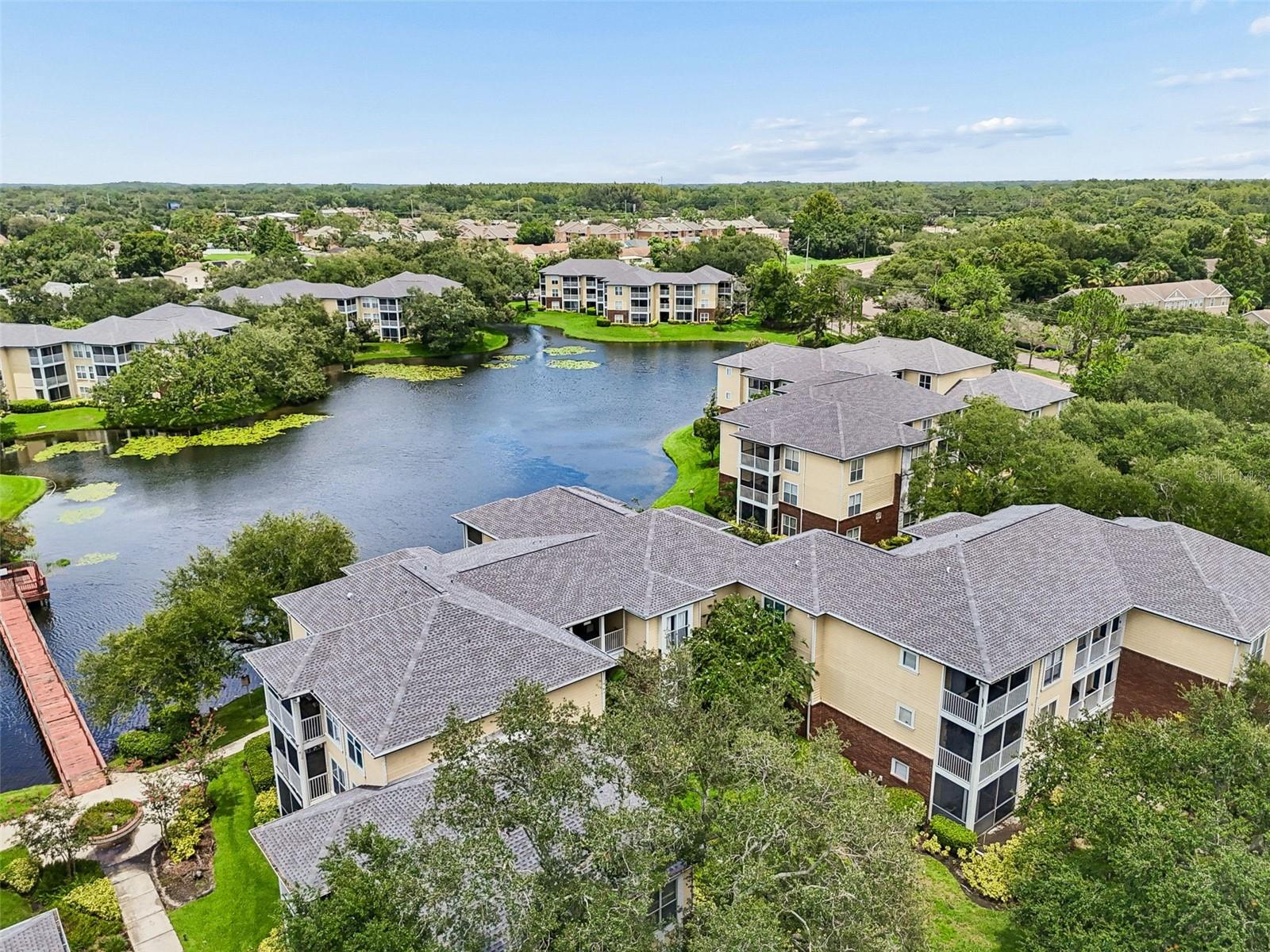 4115 CHATHAM OAK CT #201, TAMPA, FL — photo 59
