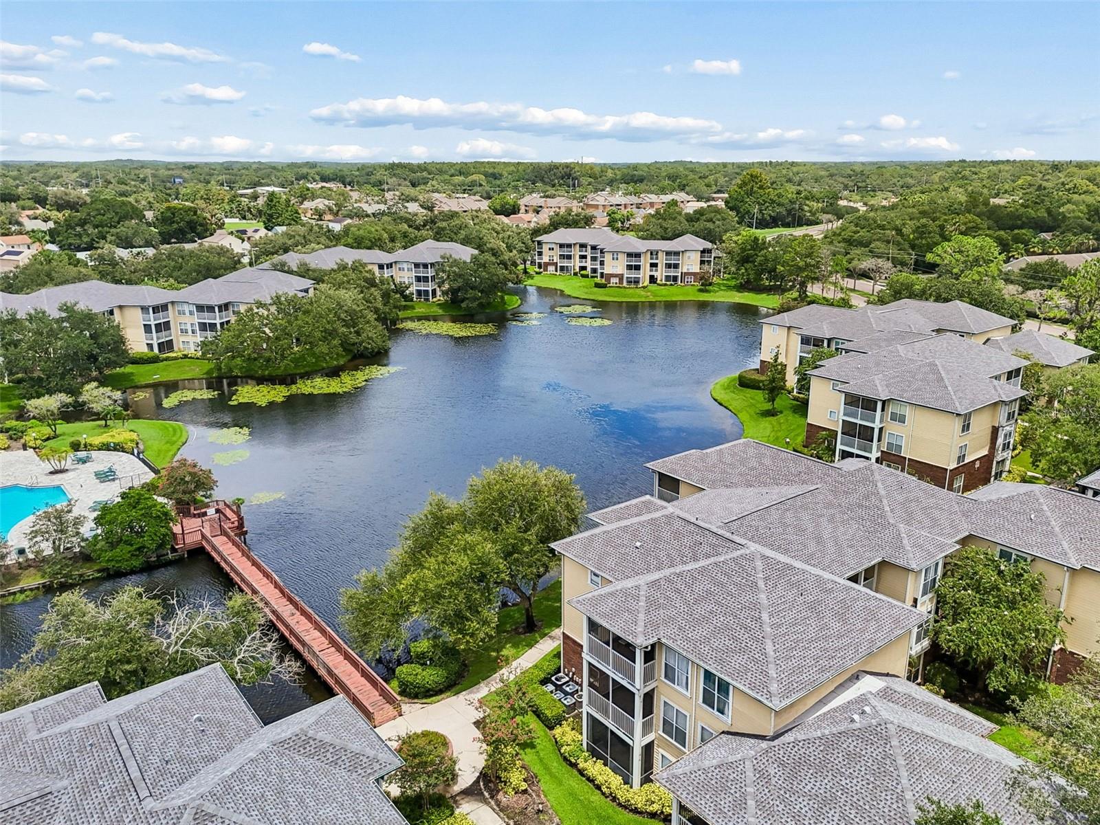 4115 CHATHAM OAK CT #201, TAMPA, FL — photo 60