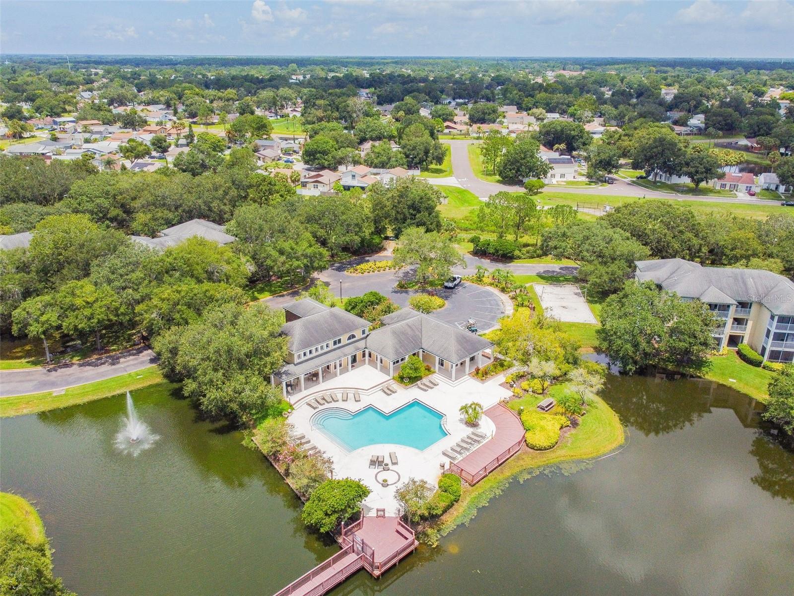 4115 CHATHAM OAK CT #201, TAMPA, FL — photo 62