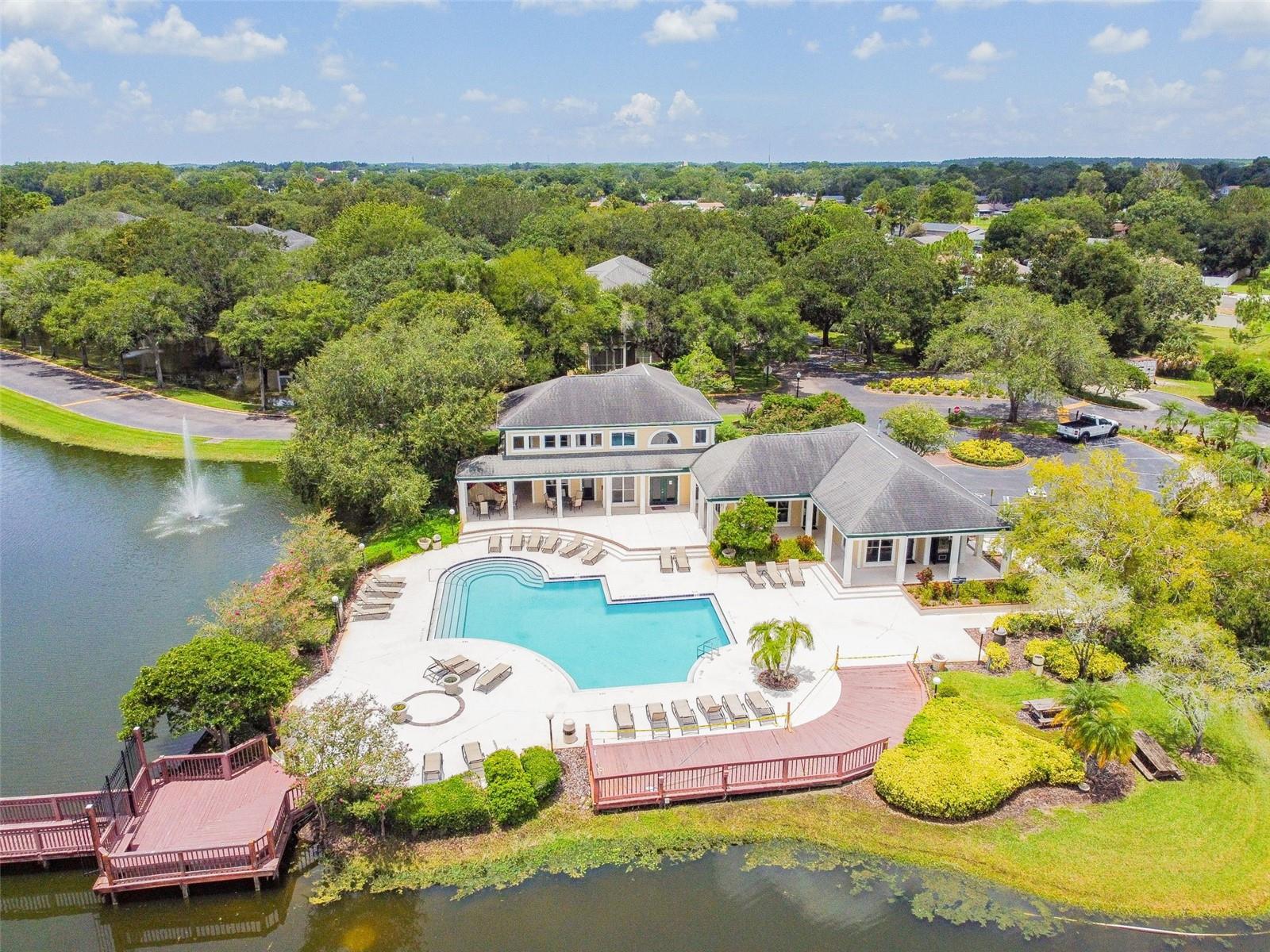 4115 CHATHAM OAK CT #201, TAMPA, FL — photo 64