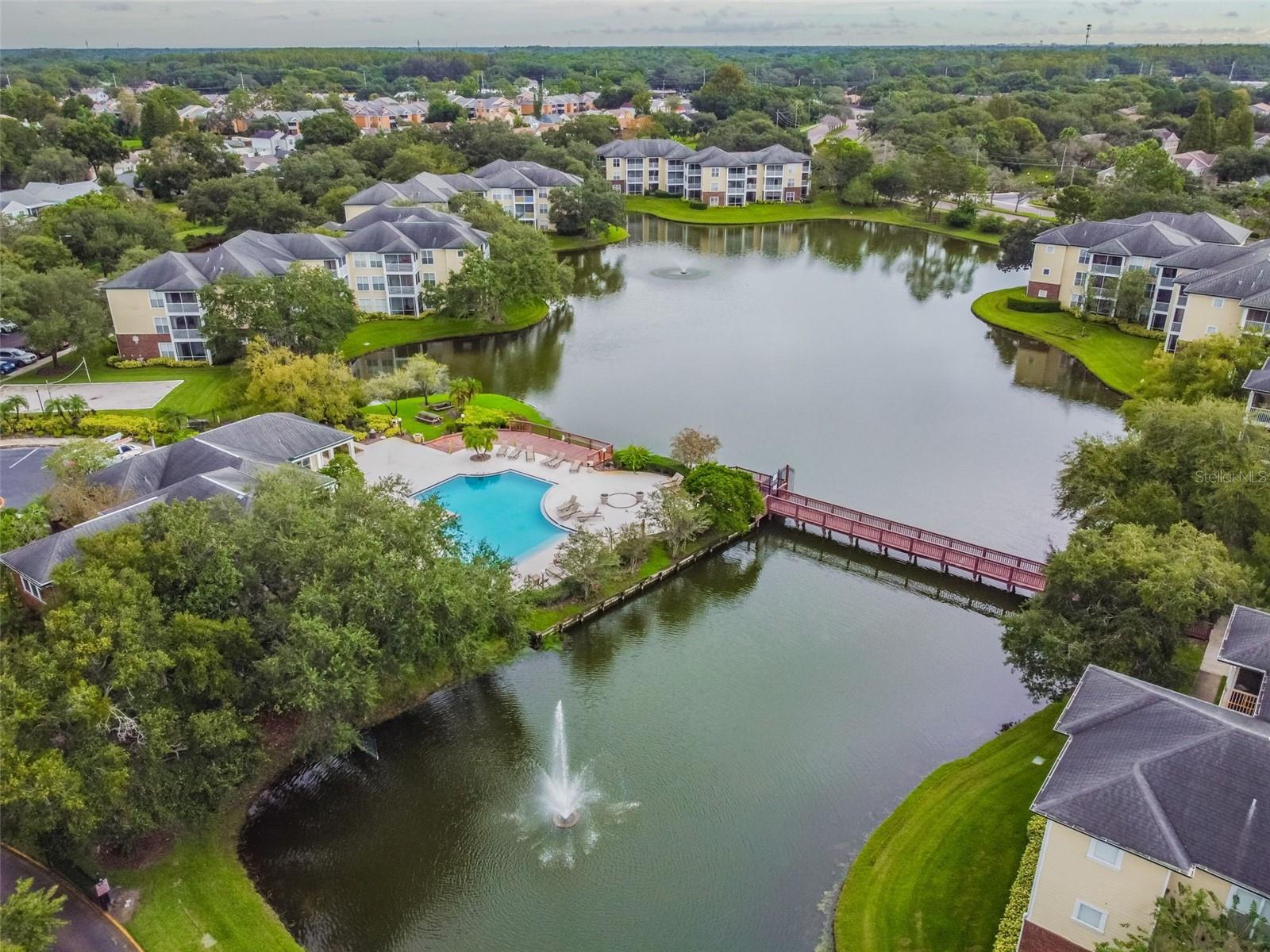 4115 CHATHAM OAK CT #201, TAMPA, FL — photo 73