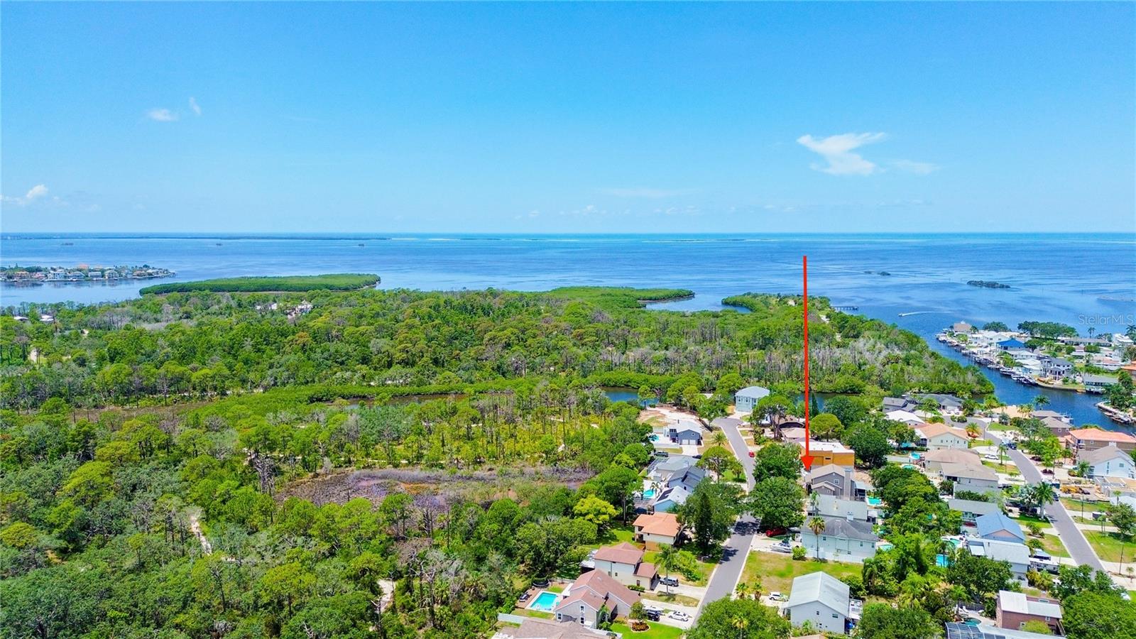 14 BAYWOOD DR, PALM HARBOR, FL