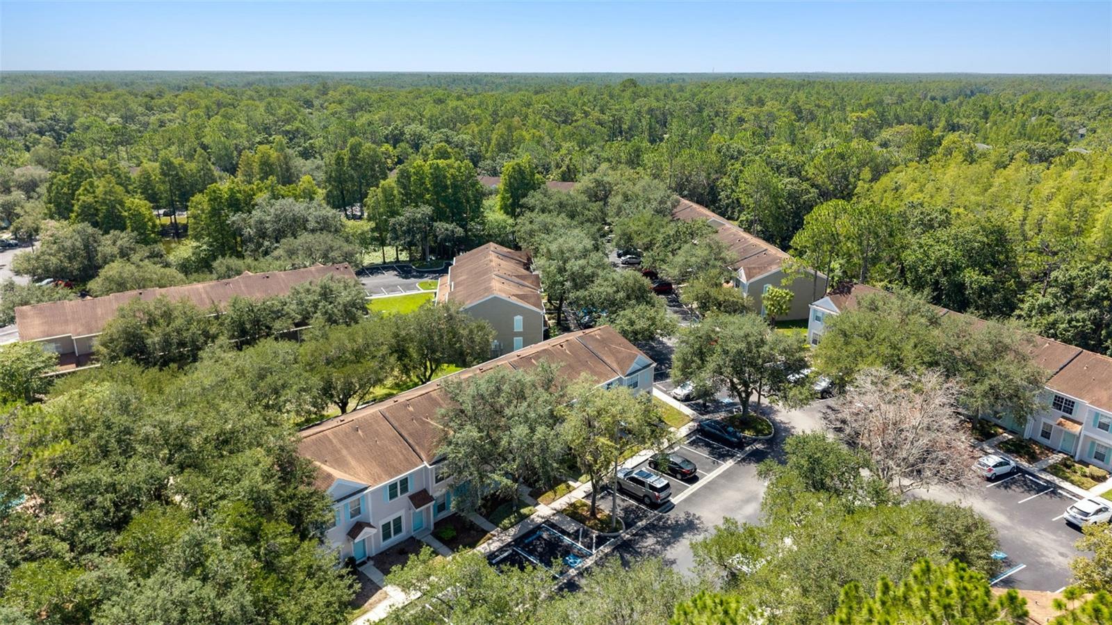 17403 FLATWOODS KEY DR, TAMPA, FL — photo 38