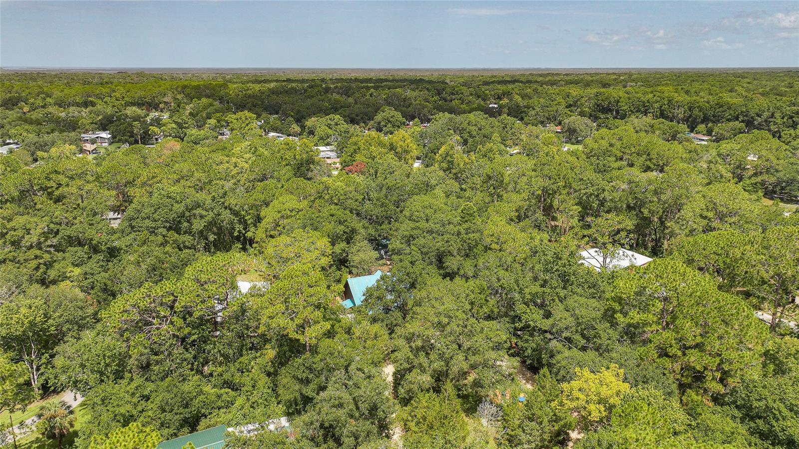 8199 W PINOAK CT, HOMOSASSA, FL — photo 48
