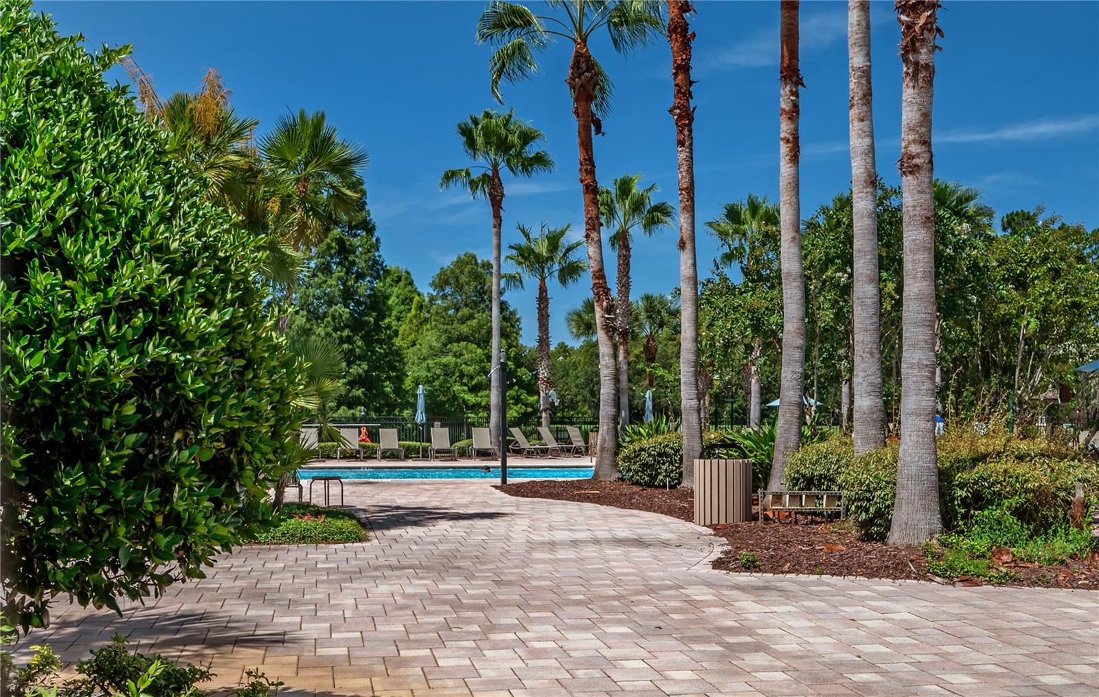4342 O ROURKE CT, WESLEY CHAPEL, FL — photo 39