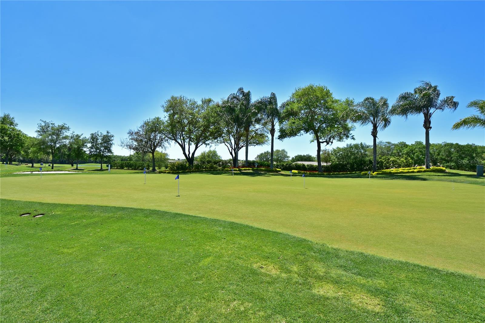 6505 STONE RIVER RD #308, BRADENTON, FL — photo 48