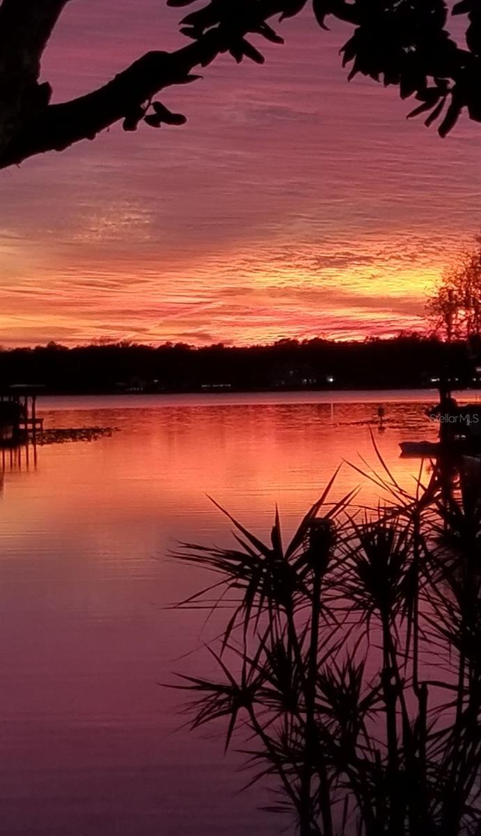 236 S SHADOWBAY BLVD, LONGWOOD, FL — photo 50