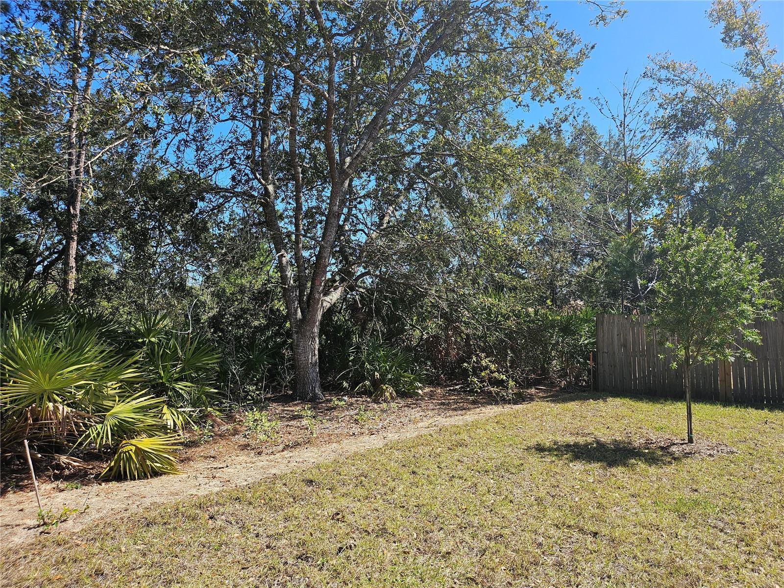 25 RADIUM LN, PALM COAST, FL — photo 13