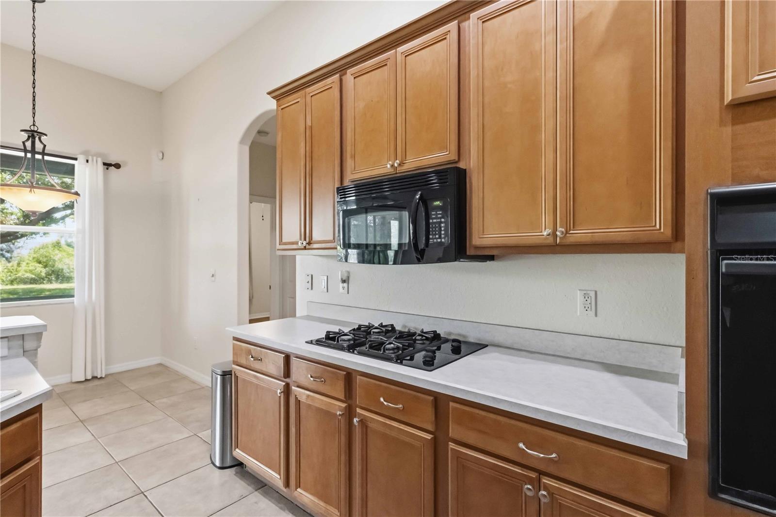 12526 BURGESS HILL DR, RIVERVIEW, FL — photo 7