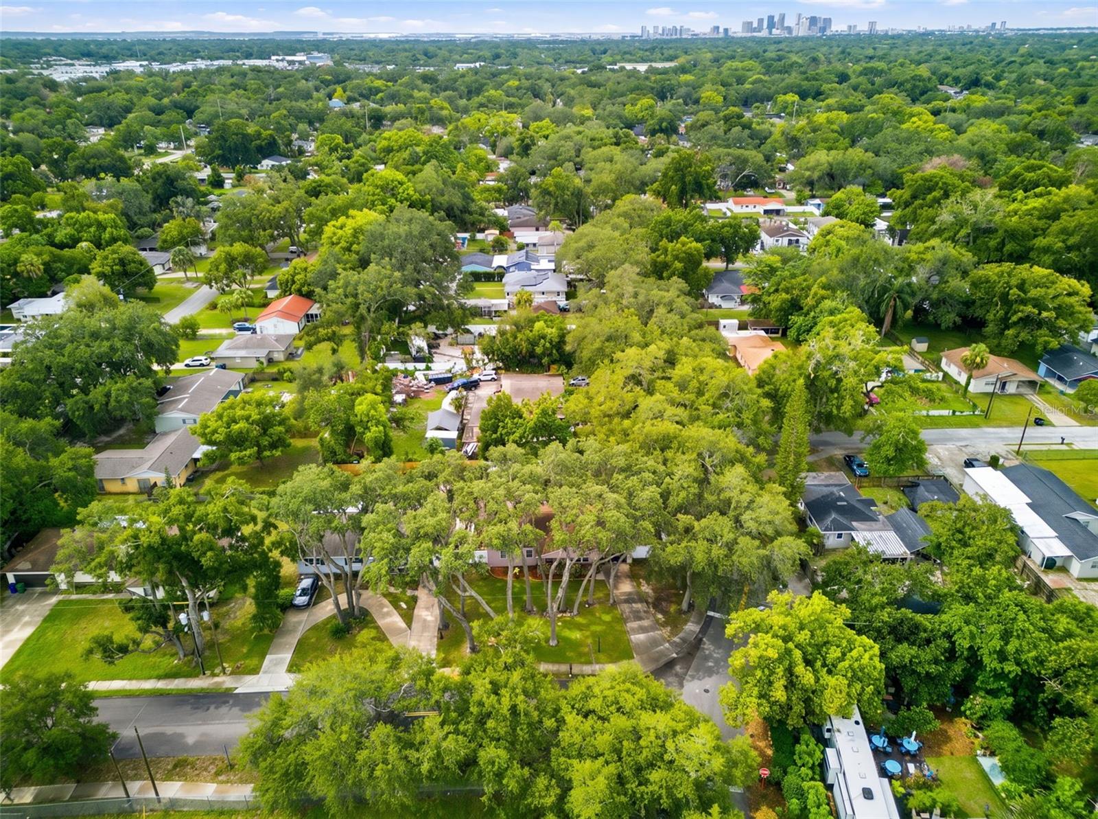1901 E DIANA ST, TAMPA, FL — photo 42