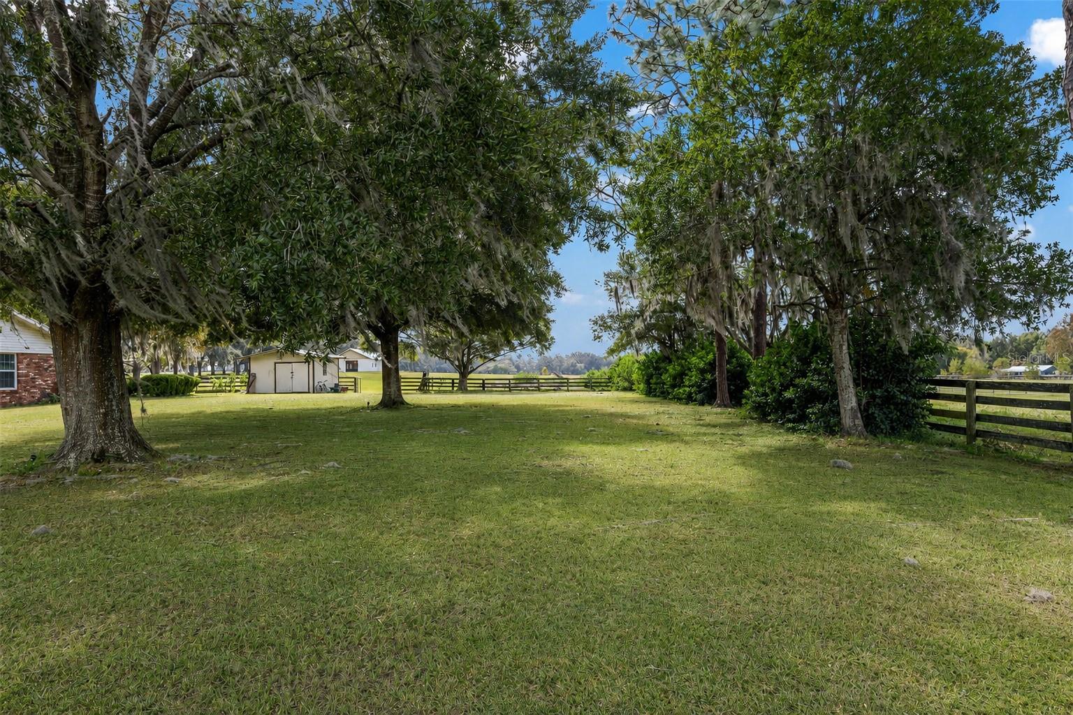 8544 NW 160TH AVE, MORRISTON, FL — photo 10
