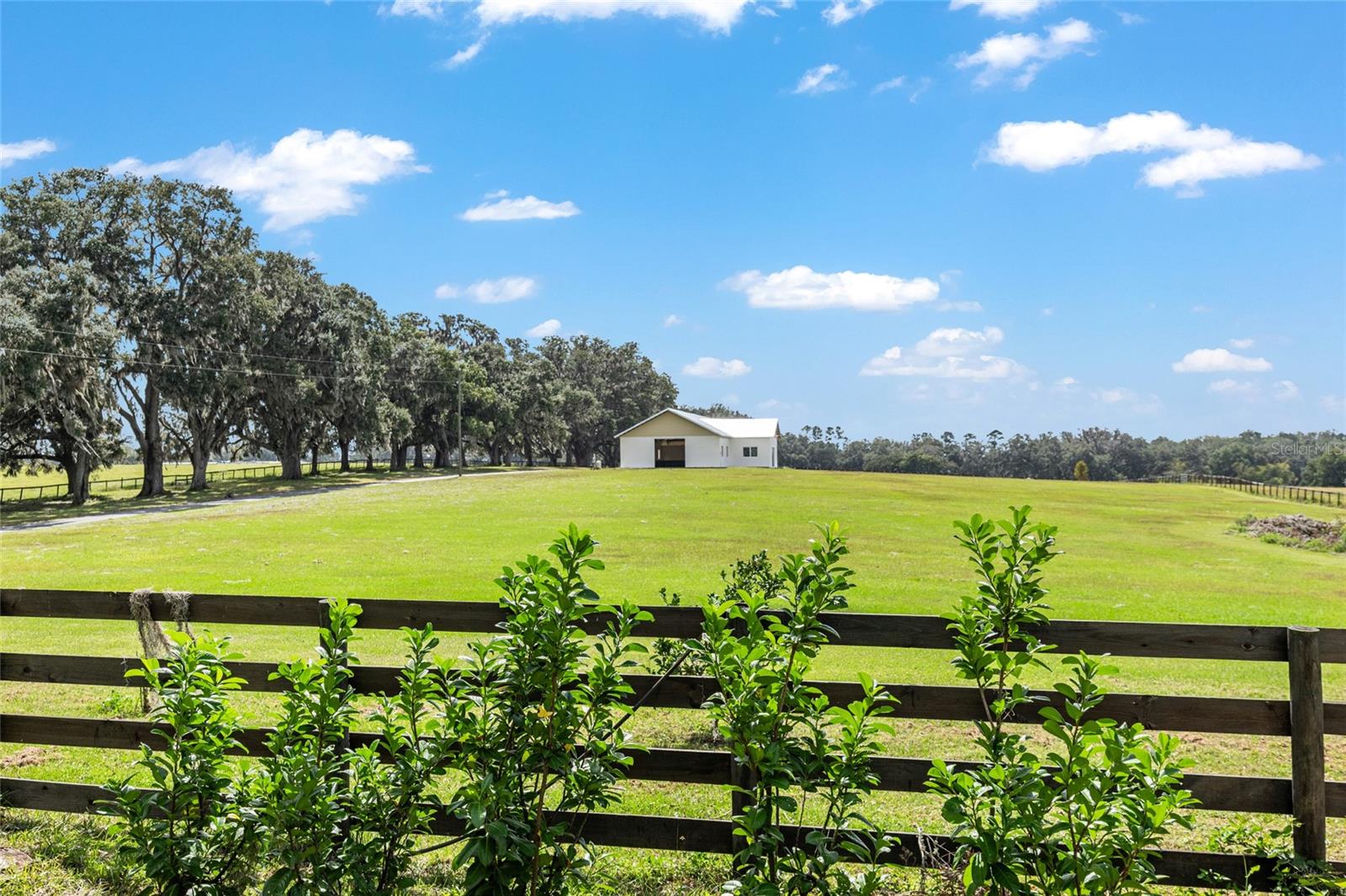 8544 NW 160TH AVE, MORRISTON, FL — photo 8