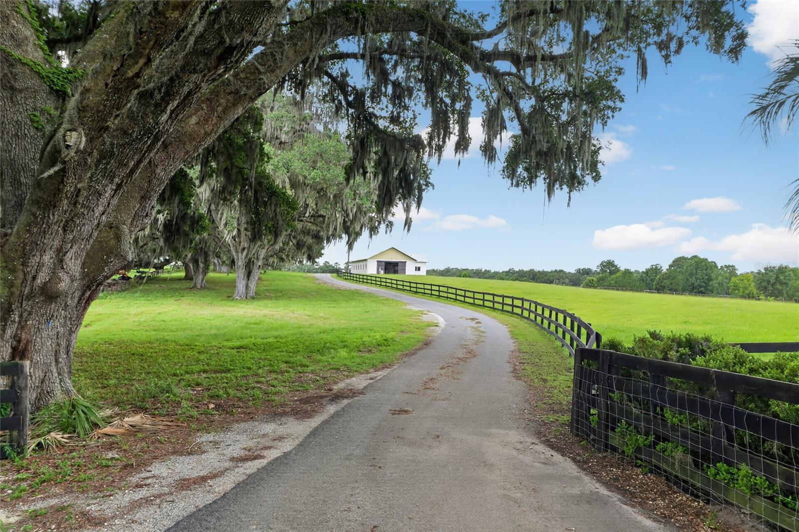 8544 NW 160TH AVE, MORRISTON, FL — photo 42