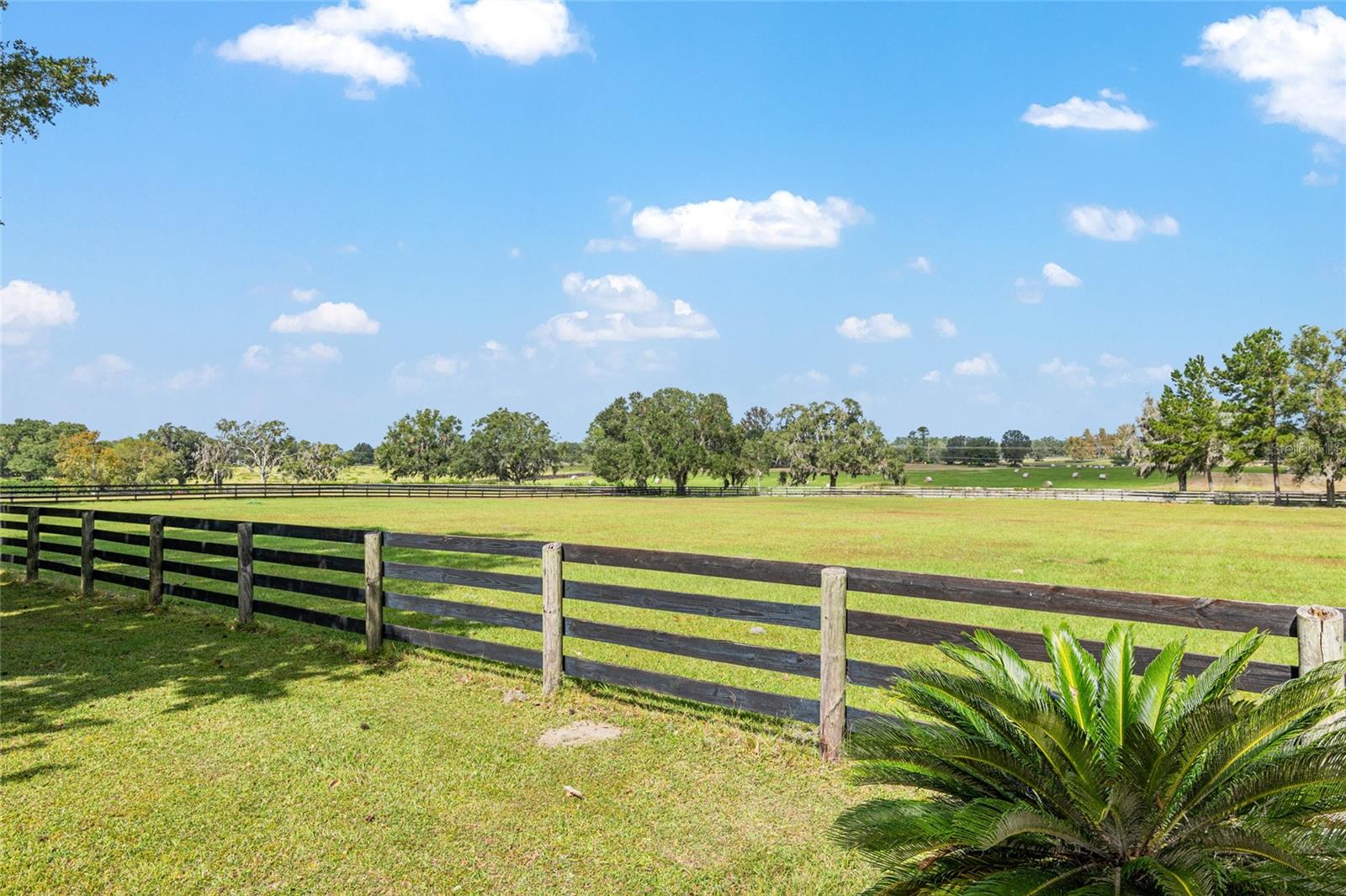 8544 NW 160TH AVE, MORRISTON, FL — photo 43