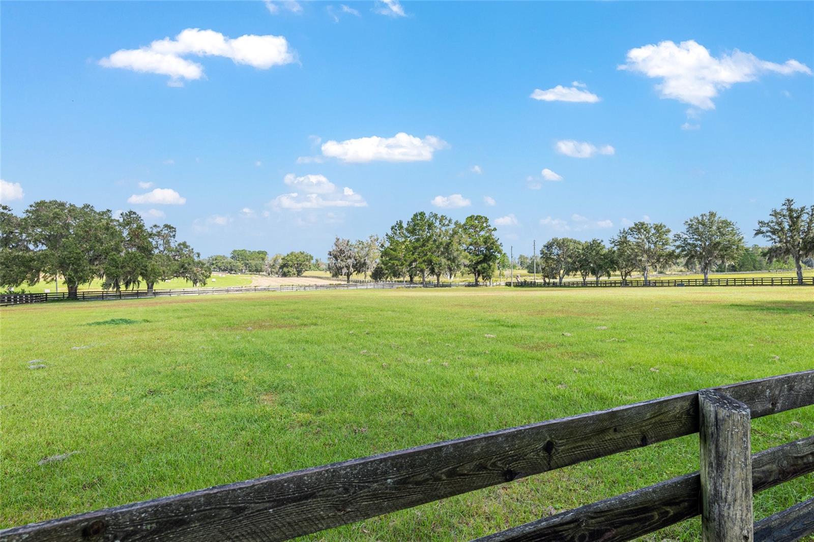 8544 NW 160TH AVE, MORRISTON, FL — photo 44