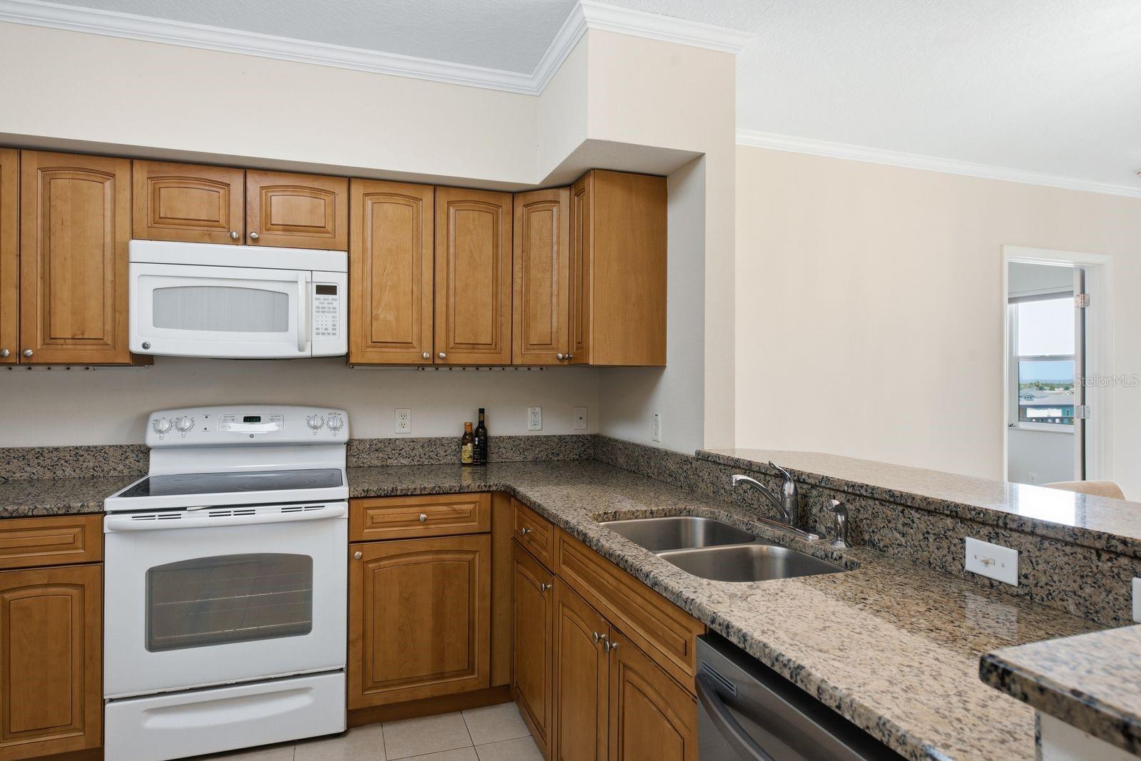 4516 SEAGULL DR #701, NEW PORT RICHEY, FL — photo 16