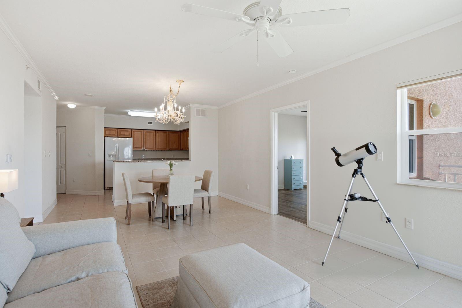 4516 SEAGULL DR #701, NEW PORT RICHEY, FL — photo 38