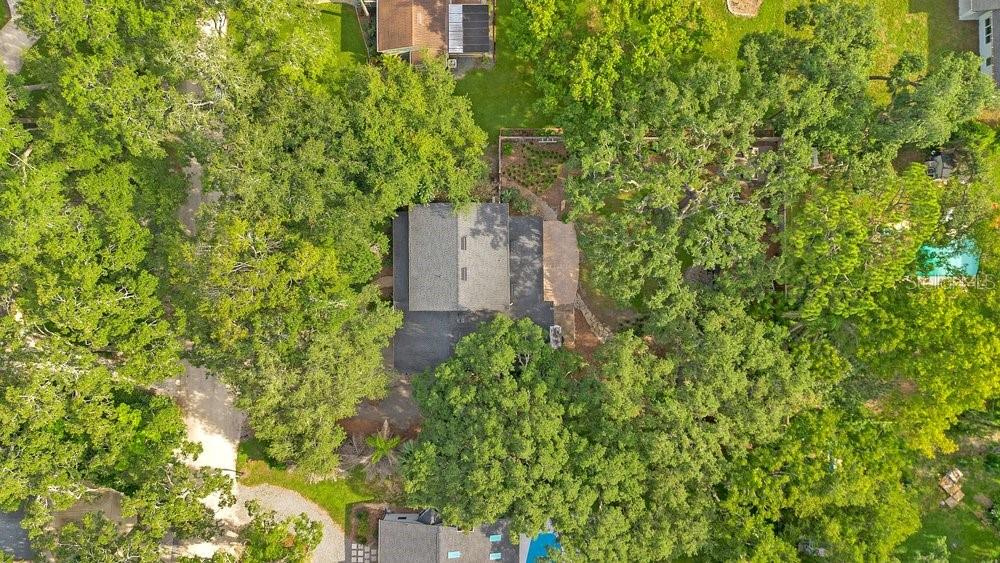 725 OAKDALE ST, WINDERMERE, FL — photo 56