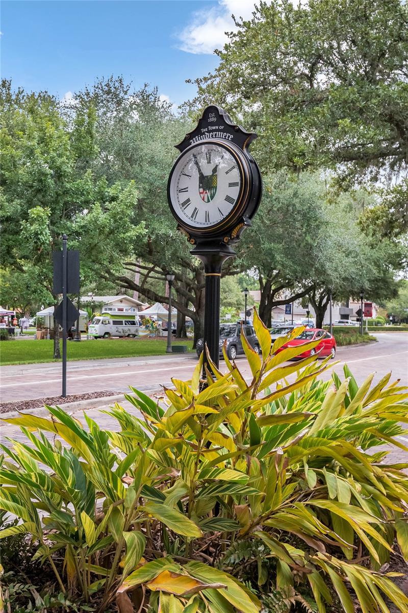 725 OAKDALE ST, WINDERMERE, FL — photo 59
