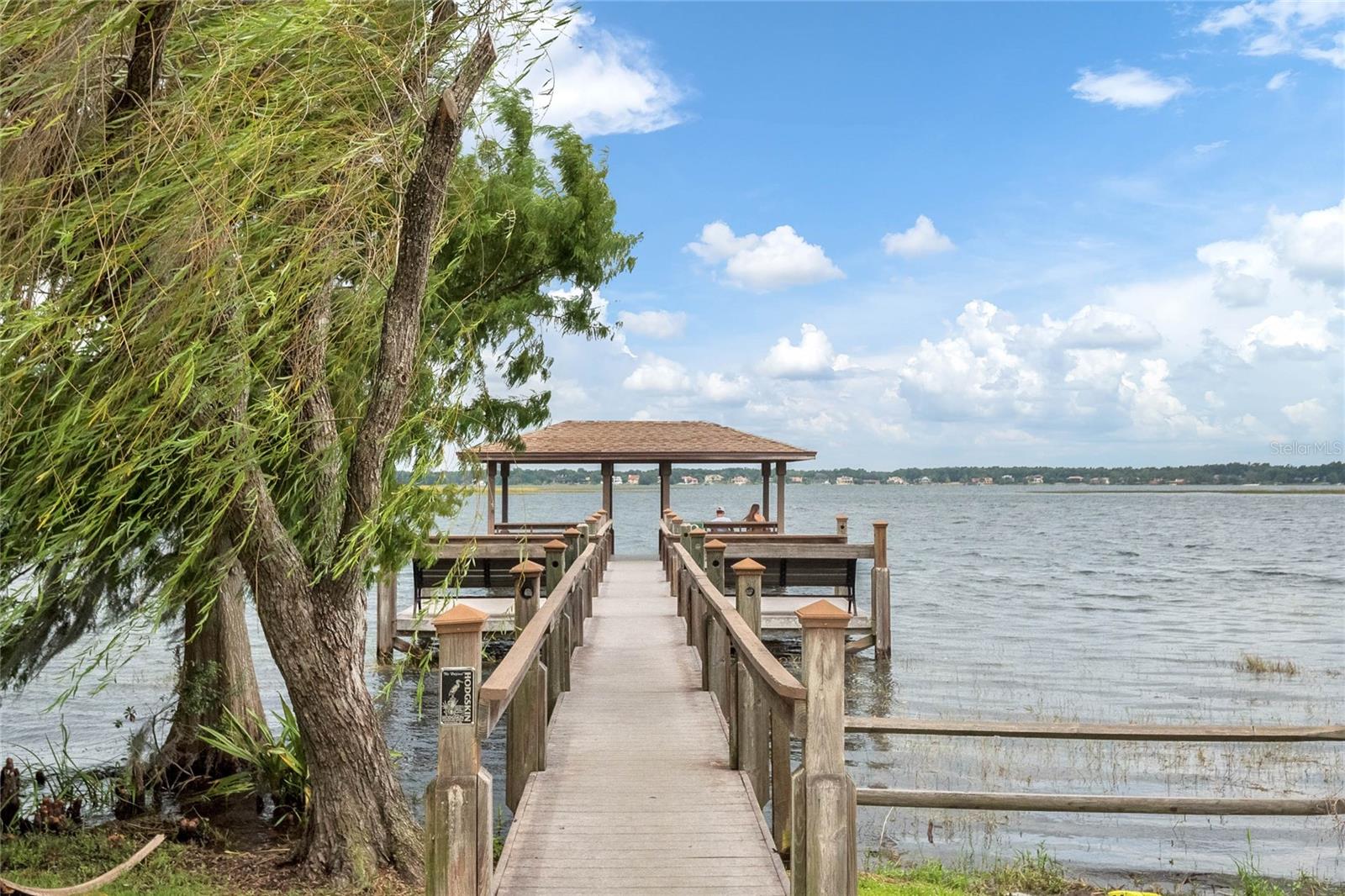 725 OAKDALE ST, WINDERMERE, FL — photo 63