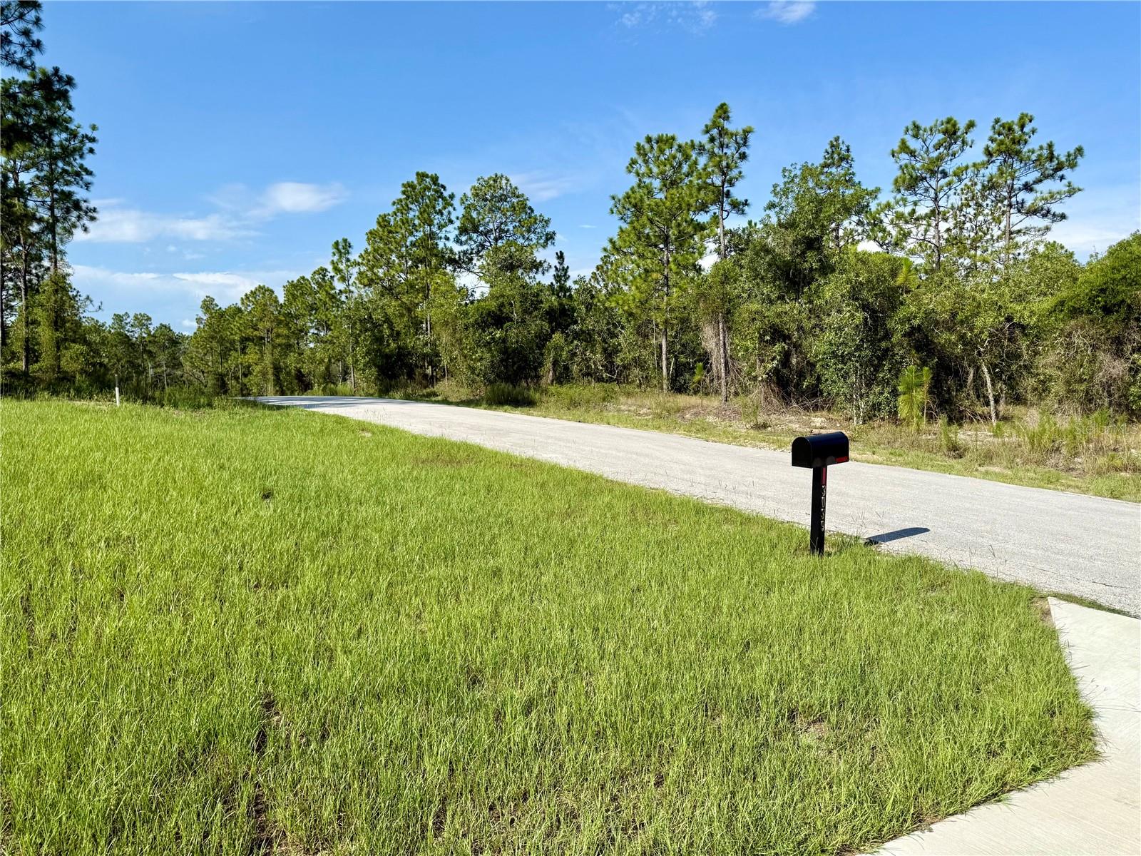 3039 SW VIBURNUM RD, DUNNELLON, FL — photo 16