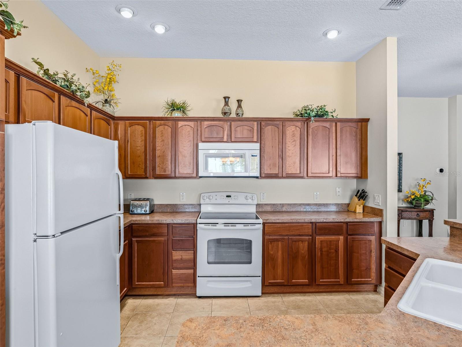 1134 SOUTHERN SUN DR, THE VILLAGES, FL — photo 13