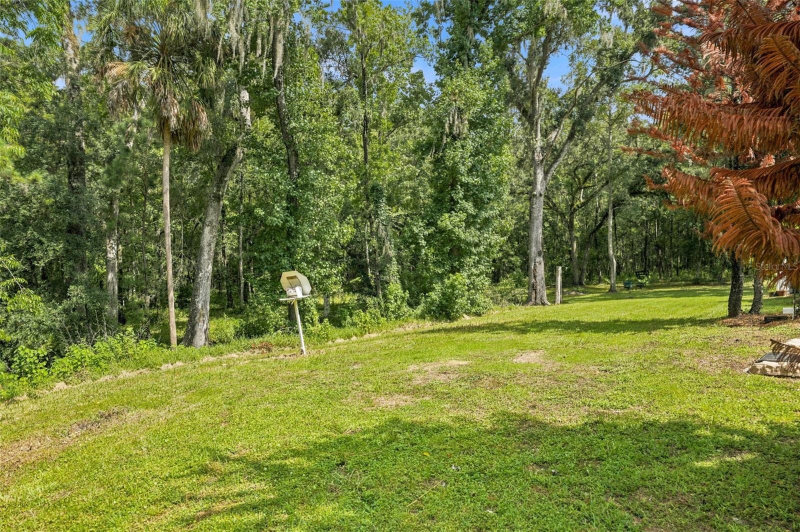 18308 VALOR PATH, BROOKSVILLE, FL — photo 55