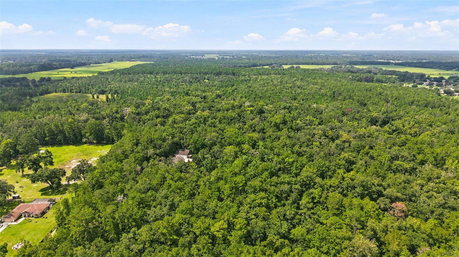 18308 VALOR PATH, BROOKSVILLE, FL — photo 59