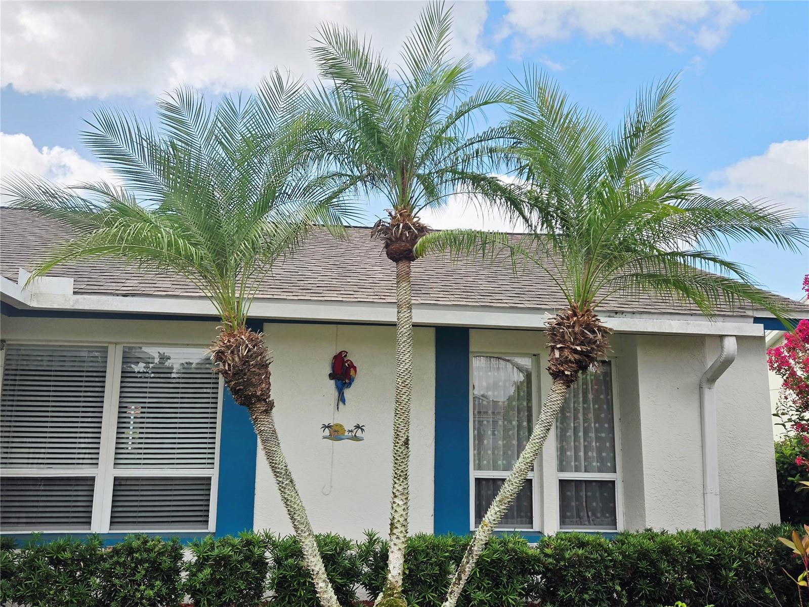 4236 PRO AM AVE E, BRADENTON, FL — photo 68