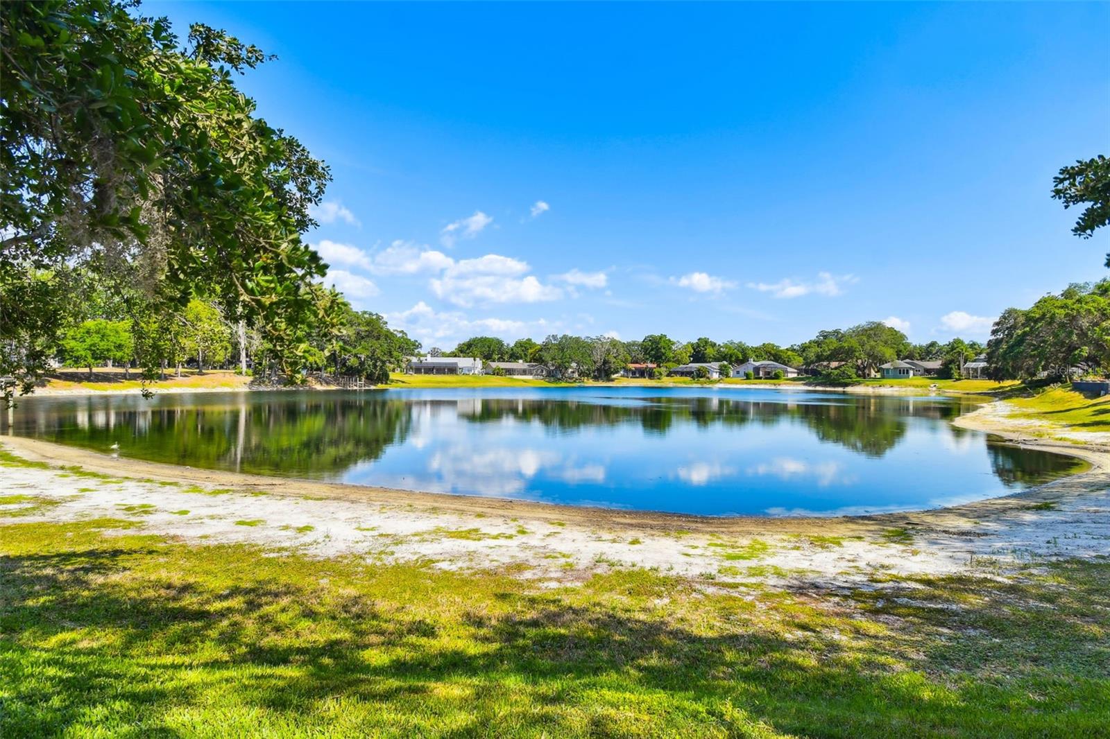 2781 VALENCIA LN W, PALM HARBOR, FL — photo 75
