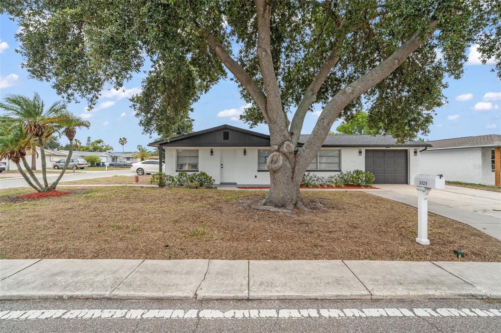 3325 DARLINGTON RD, HOLIDAY, FL — photo 9