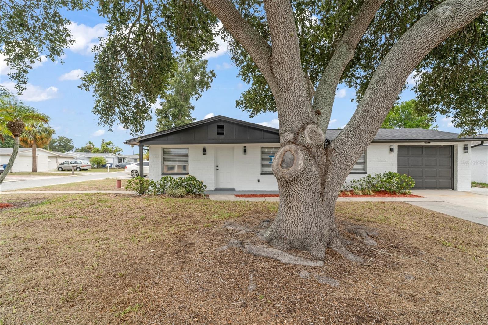 3325 DARLINGTON RD, HOLIDAY, FL — photo 10