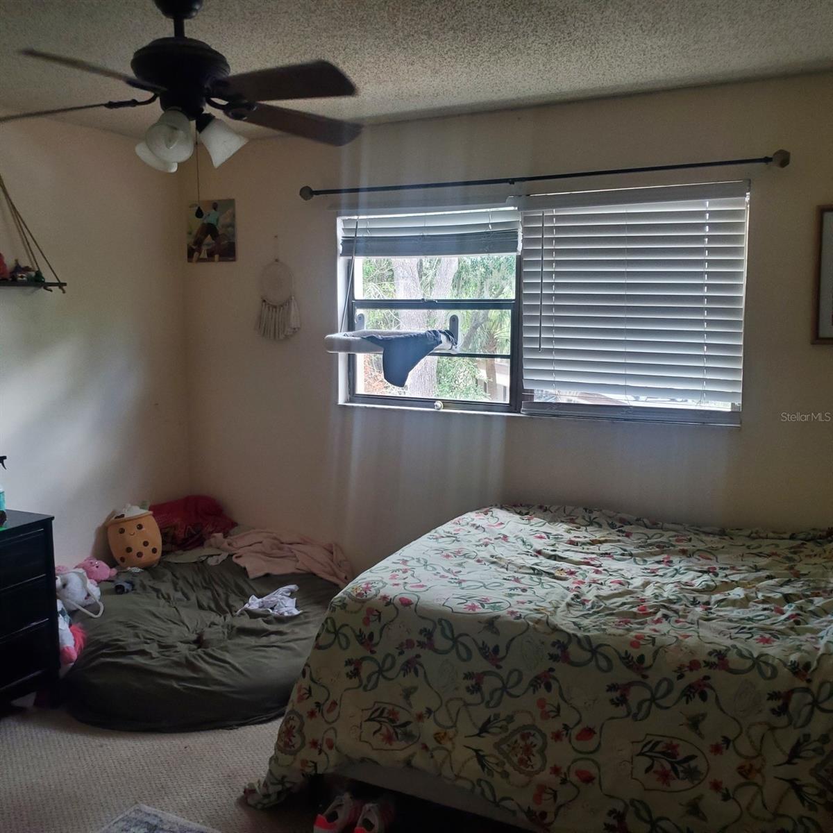 3525 E FORT KING ST #244, OCALA, FL — photo 13