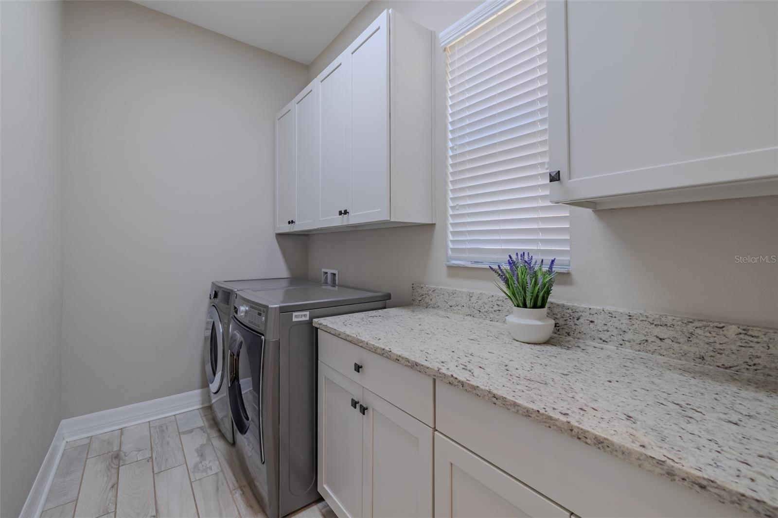 31961 SANDSPIRIT PL, WESLEY CHAPEL, FL — photo 30