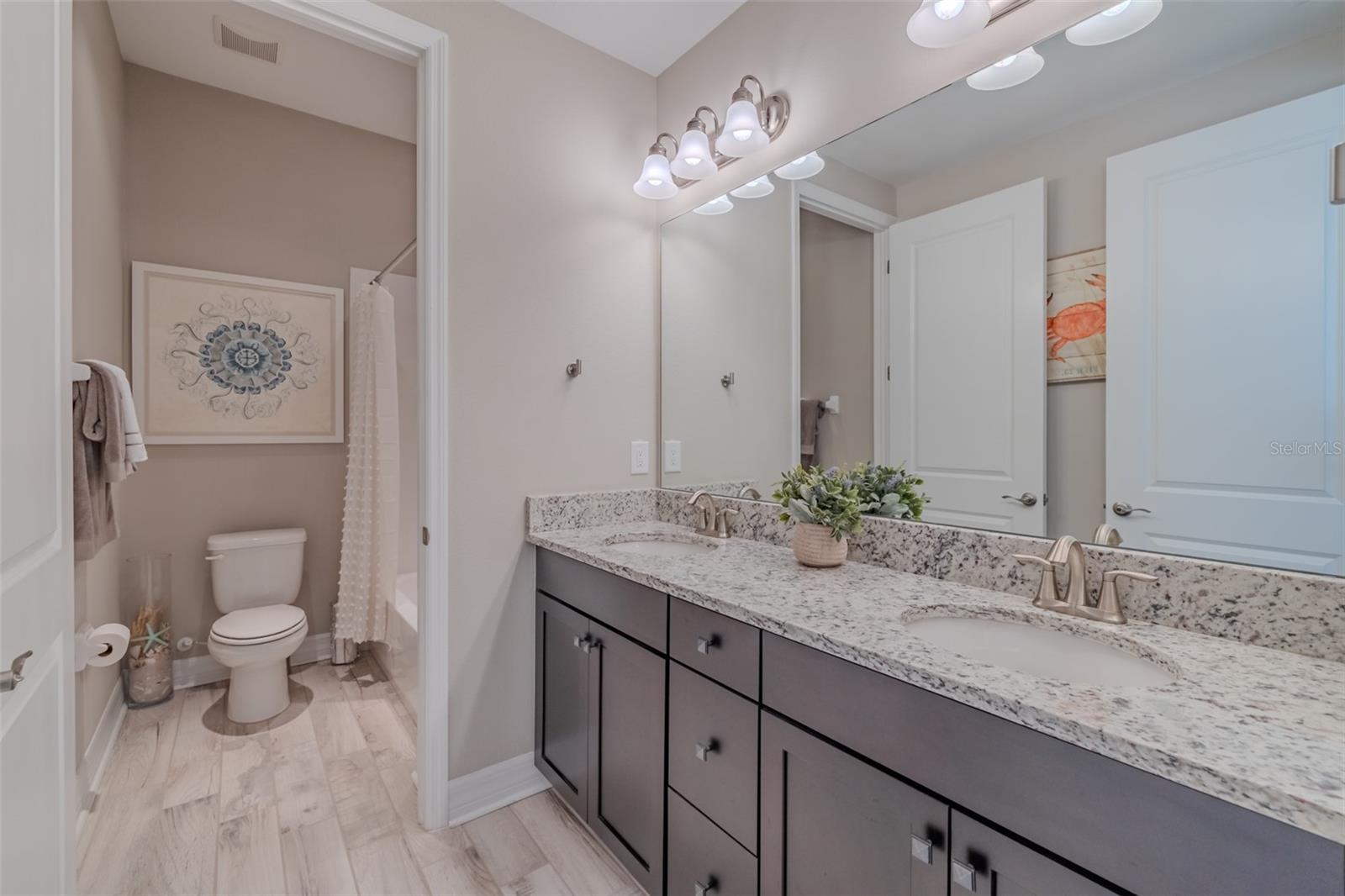 31961 SANDSPIRIT PL, WESLEY CHAPEL, FL — photo 44