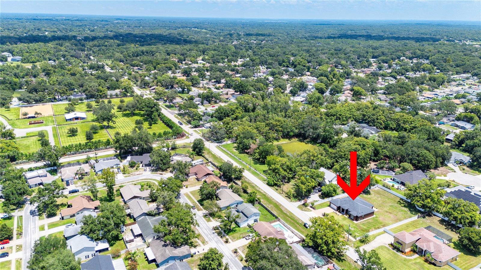 17601 HANNA RD, LUTZ, FL — photo 33