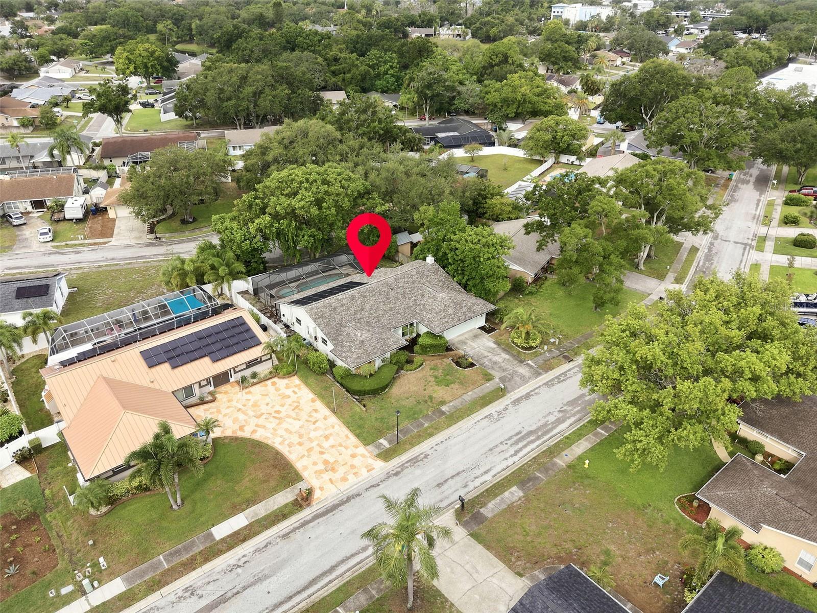 1071 PERSIMMON DR, PALM HARBOR, FL — photo 32