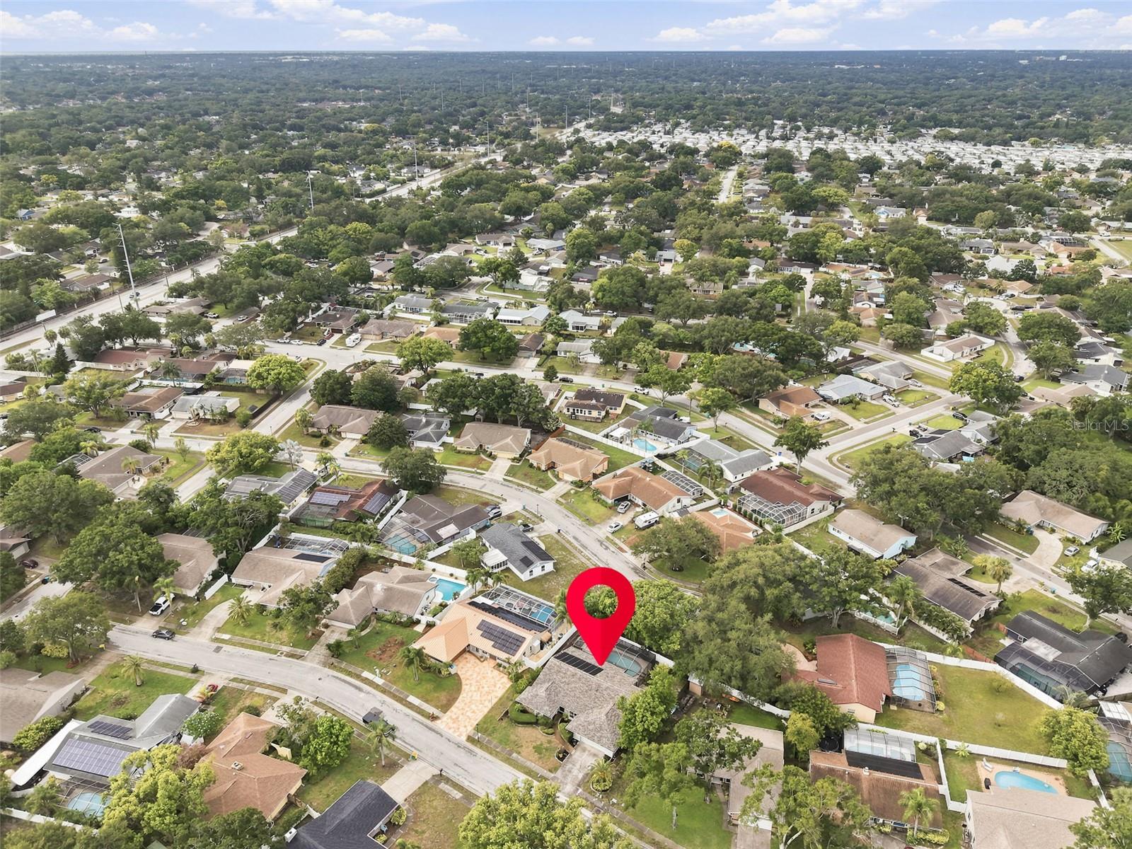 1071 PERSIMMON DR, PALM HARBOR, FL — photo 34