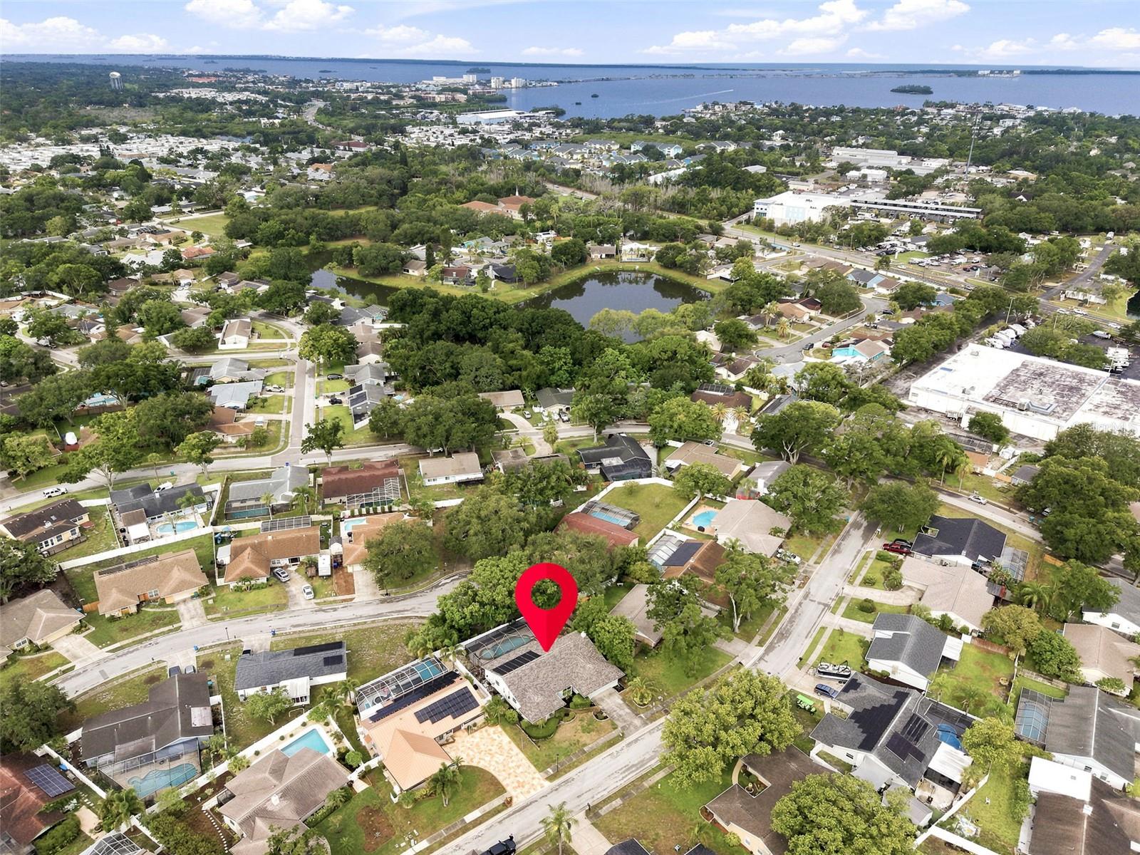1071 PERSIMMON DR, PALM HARBOR, FL — photo 40
