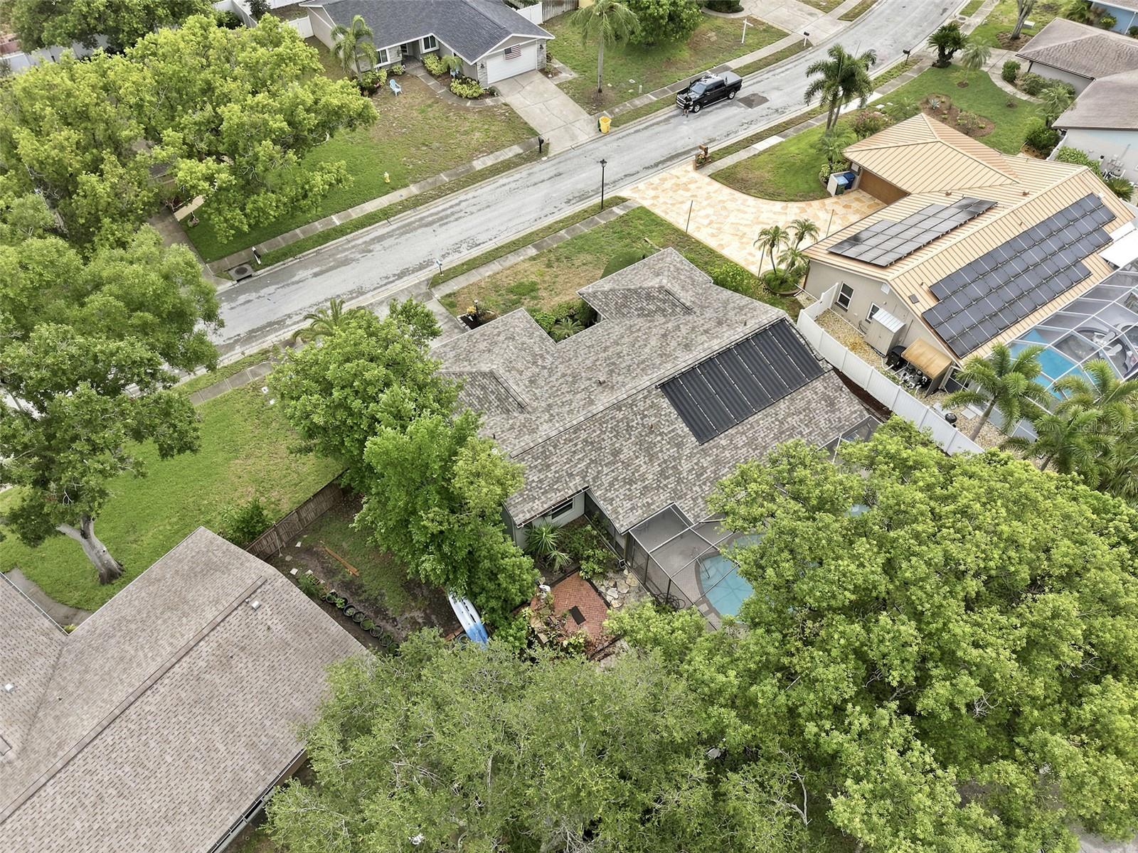 1071 PERSIMMON DR, PALM HARBOR, FL — photo 45